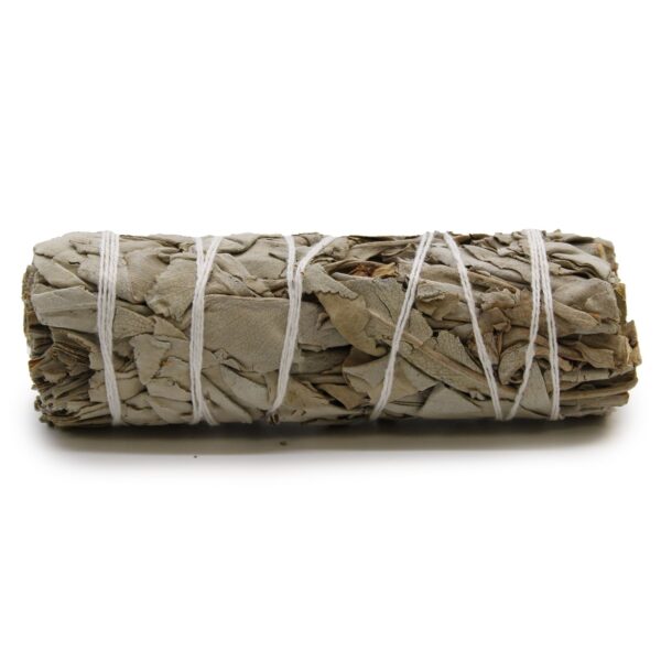 Atado de salvia blanca de 10 cm, hojas secas enrolladas y atadas con hilo blanco