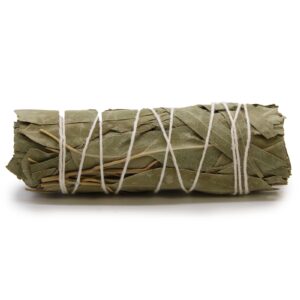 Atado de salvia blanca y eucalipto con hojas largas de eucalipto por fuera, atado con hilo blanco