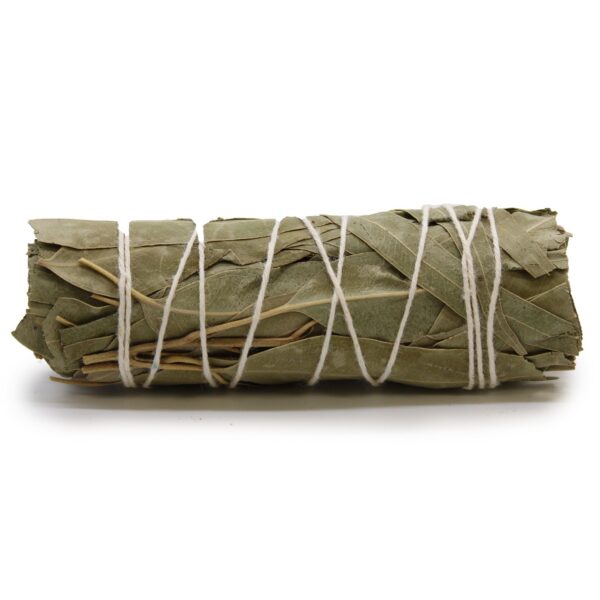 Atado de salvia blanca y eucalipto con hojas largas de eucalipto por fuera, atado con hilo blanco
