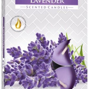 Caja de seis velas de té perfumadas de lavanda, con flores de lavanda en la tapa