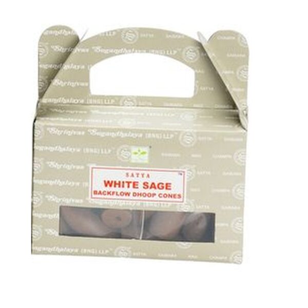 Caja de cartón con asa de conos de reflujo de salvia blanca, con ventana que deja ver los conos
