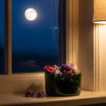 fases de la luna que hacer en cada una