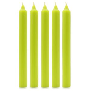 Cinco velas de candelabro largas de color verde lima, de pie sobre fondo blanco