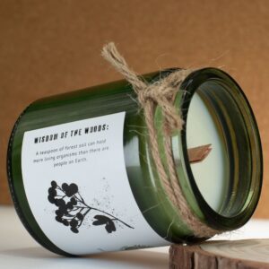 Vela de soja Esencia del bosque en tarro de vidrio verde con tapón de corcho y cordel, aroma de naranja y pino