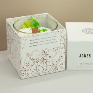 Vela de soja en vaso de vidrio con flores secas verdes junto a su caja blanca