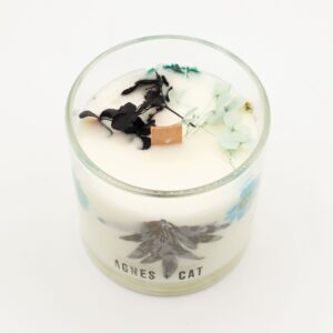 Vela de soja en vaso de vidrio con una hoja de helecho oscura y flores secas azul verdoso junto a su caja blanca