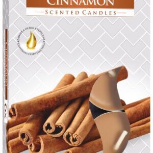 Caja de seis velas de té perfumadas de canela, con ramas de canela en la tapa