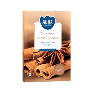Caja de seis velas de té perfumadas de canela, con ramas de canela en la tapa